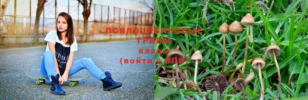 каннабис Снежногорск