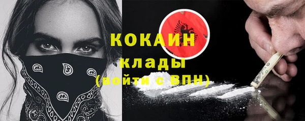 прущие грибы Армянск