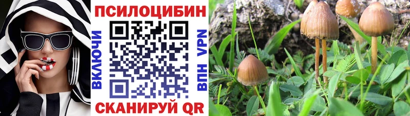 Галлюциногенные грибы MAGIC MUSHROOMS  Давлеканово 